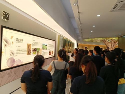 中醫(yī)藥文化潤基層——記惠州三支一扶支醫(yī)人員羅浮山國藥宣傳教育基地之行